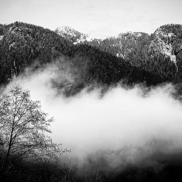 Meet your Posher, Chris - Picture 1 of 4